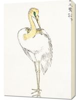 product-compare-59582320