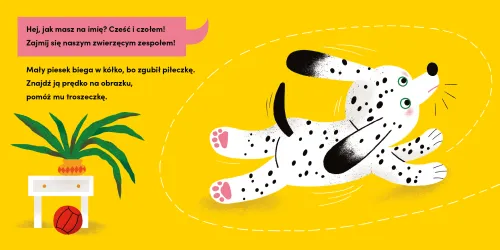 Cześć i czołem. Góra dołem! na Arena.pl