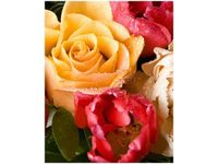 40X50CM KWIATY OBRAZ