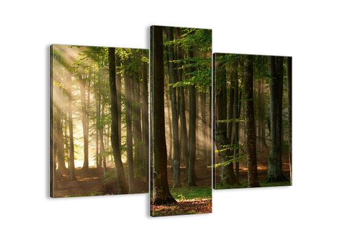 Obraz Na Płótnie - Las Drzewa Chrust  - 95X80 Cm - Cb95X80-3628 na Arena.pl