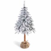 CS/JODLA/CECILIA/SNIEG/PIEN/1,5