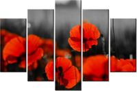 product-compare-58695641