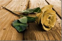 100 70CM OBRAZ PŁÓTNO CIEKAWA RÓŻA PŁÓTNO RAMA