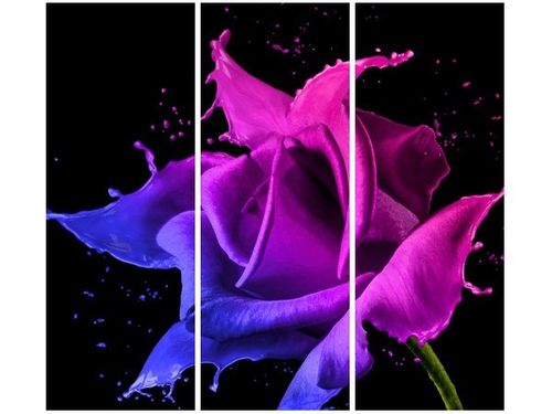 90CM 80 OBRAZ 3 ELEM RÓŻA FARB JAKUB BANAŚ ŚCIENNY na Arena.pl