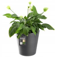 Donica Doniczka Kwietnik Osłonka Antracyt 35 cm