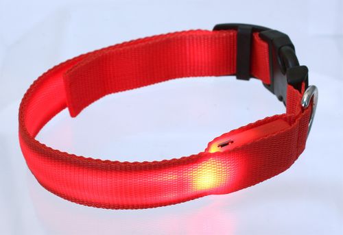 Obroża LED USB M dla Psa Świecąca Własna Bateria na Arena.pl