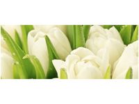 100X40CM DELIKATNE TULIPANY OBRAZ DREWNO