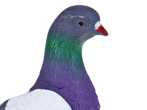 DLA DZIECI ZABAWNY INTERAKTYWNY GOŁĄB CHODZI na Arena.pl