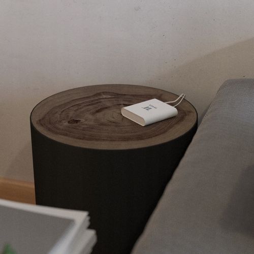 Centrala bramka sterująca Tesla Smart RJ45 ZigBee na Arena.pl