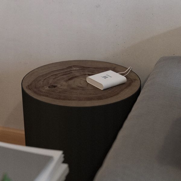 Centrala bramka sterująca Tesla Smart RJ45 ZigBee zdjęcie 2