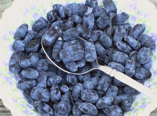 JAGODA KAMCZACKA SUPER zestaw ATUT+JOLANTA słodkie smaczne OWOCE w na Arena.pl