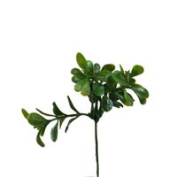 product-compare-61190261