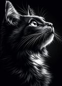 Plakat 13x18cm Portret Zwierząt do Salonu | Kot | Czarno Białe
