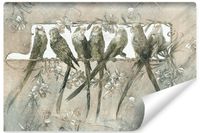 Fototapeta Do Salonu ABSTRAKCJA Papugi Ptaki Beton Styl Retro 135cm x 90cm