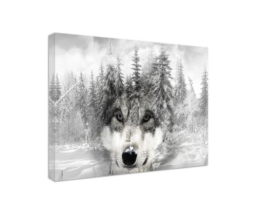 Obraz na płótnie - Canvas, Wilk na tle zimy 40x60 na Arena.pl
