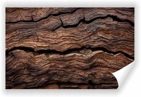 Fototapeta PREMIUM STRUKTURA ZMYWALANA POD WYMIAR TŁO ŚCIENNE KORA DĘBOWA