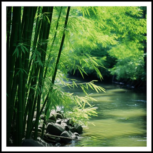 Plakat 90x90cm Spokój Bambusów na Arena.pl