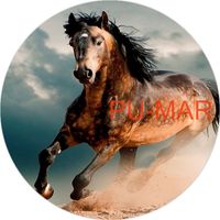 Opłatek na tort KONIE Koń Mustang Konik Kuc Urodziny Tekst Gratis