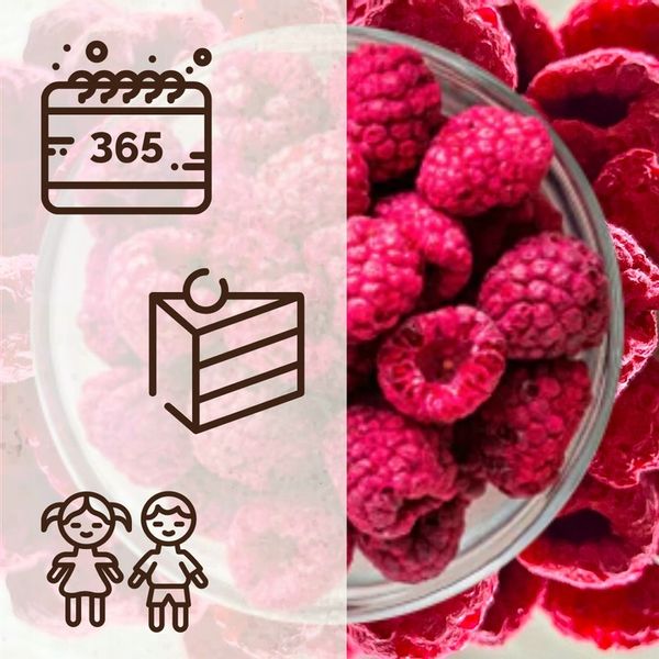 MALINA LIOFILIZOWANA 100g MALINY KLASA A nutt zdjęcie 3