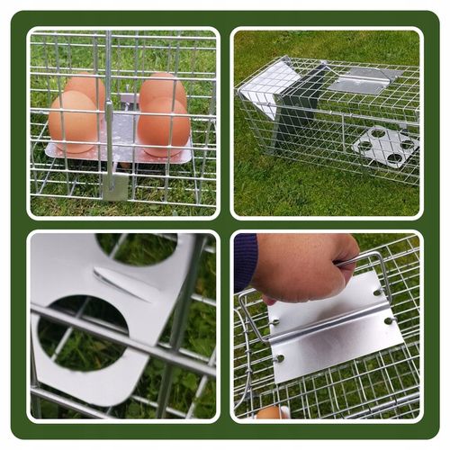 PUŁAPKA ŻYWOŁAPKA NA SZCZURY MYSZY KUNY GRYZONIE SZCZUROŁAPKA ŁAPKA na Arena.pl