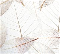 Tło do fotografii produktowej kulinarnej Flat Lay