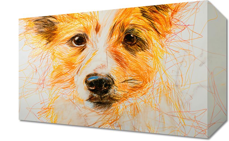 Obraz 30x20cm Uroczy Gość zdjęcie 1