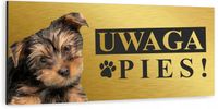 Tabliczka UWAGA ZŁY PIES YORK TERRIER aluminiowa