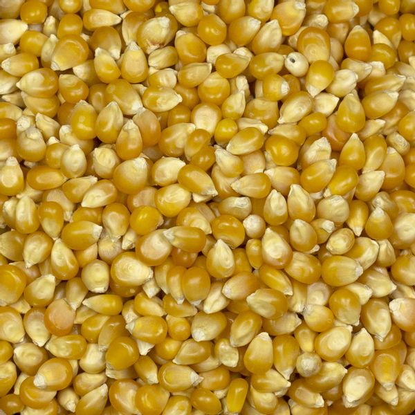 Popcorn 1kg zdjęcie 3