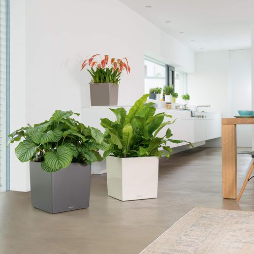 DONICA LECHUZA CUBE PREMIUM 40 BIAŁY na Arena.pl