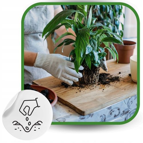 Keramzyt ogrodniczy do drenażu gruby 50L doniczkowy 10-20mm na Arena.pl