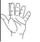 STABILIZATOR SZYNOWY ORTEZA PALCA SZYNA NA PALEC na Arena.pl