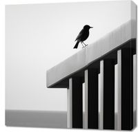 product-compare-59476584