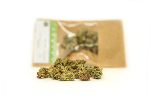 Susz konopny CBD ”Amnesia” 2g na Arena.pl