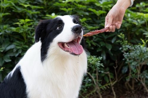 Przysmaki dla psa filet z kurczaka 500g - naturalny przysmak z kurczaka na Arena.pl