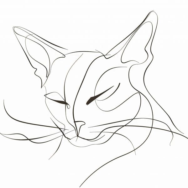 Plakat 80x80cm Linijny Kot zdjęcie 1