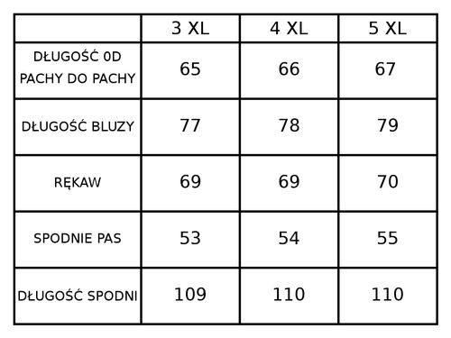 Dres kompletny męski Pierre Cardin Paris techniczny z kapturem duże na Arena.pl