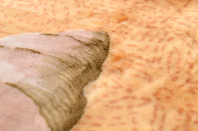 Gruby Koc Akrylowy 160X210 Muszelki Brąz 18781 zdjęcie 4