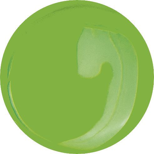 Astra Farby Fluorescencyjne 6 Kolorów, 10 ml na Arena.pl