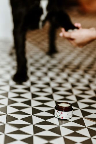 Naturalna maść na łapy dla psa na Arena.pl