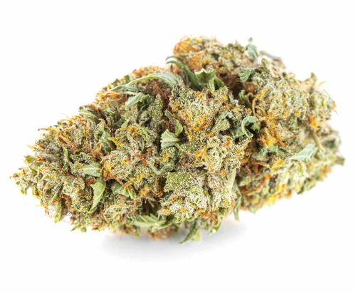 Susz konopny Lemon Haze CBD SUPER AMSTERDAM Exclusive Weed 2g na Arena.pl