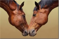 product-compare-58693985