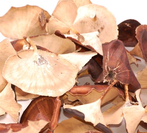 Golden mushroom 50g na Arena.pl