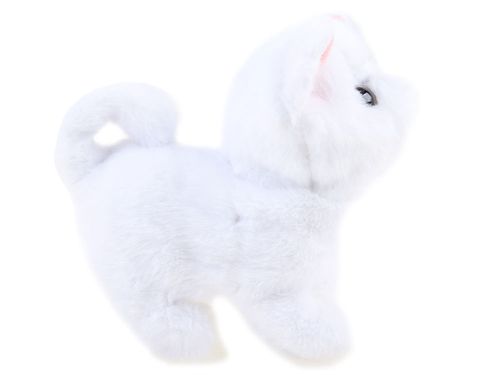 BIAŁY KOTEK PSOTEK SZUKA MAMY na Arena.pl