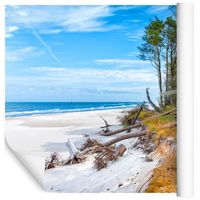 Fototapeta PLAŻA Morze Las Krajobraz do Salonu 3D 135x90