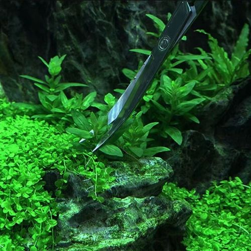 NOŻYCZKI DO PRZYCIANANIA ROŚLIN 25CM STAL NIERDZEWNA WYGIĘTE na Arena.pl