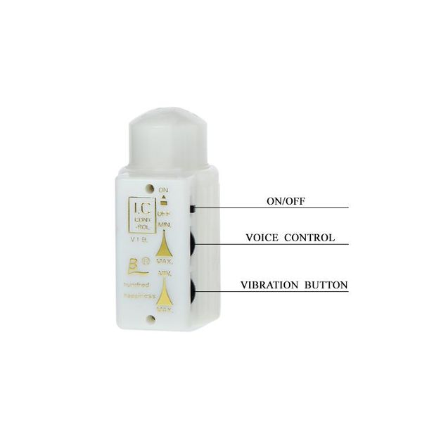 Baile - Mr. Big Rotation & Vibration zdjęcie 4