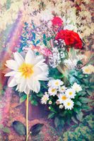 FOTOTAPETA KWIATY KOLOROWA PIĘKNA 3D