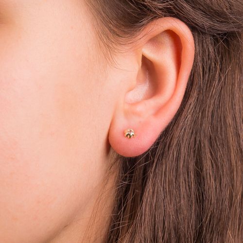 Złote Sztyfty Kwiatuszki na Arena.pl