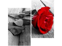 product-compare-58647225