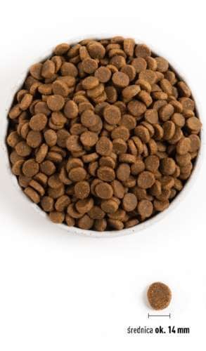 ACANA LIGHT & FIT DOG 11,4 KG na Arena.pl